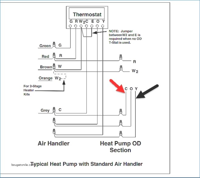 Draw Tite Activator Wiring Diagram Download | Wiring Diagram Sample