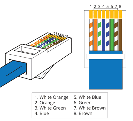 Cat 6 Wiring Diagram Wall Jack Sample - Wiring Diagram Sample