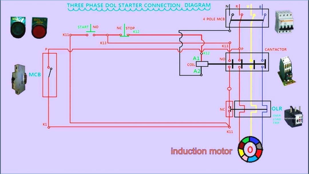 Manual Motor Starter Wiring Diagram